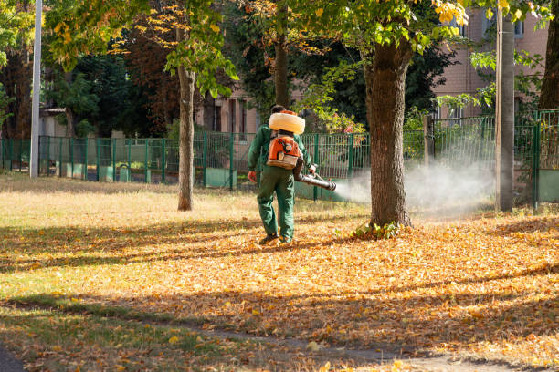 Best Spider Control Near Me  in Robbins, IL